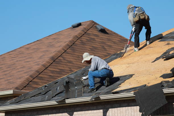 Best Roof Coating and Sealing  in Hamburg, AR