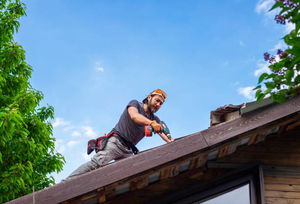 Best Skylight Installation and Repair  in Hamburg, AR