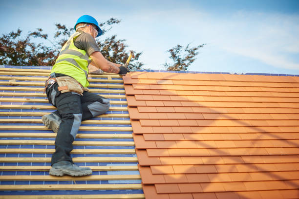 Best Storm Damage Roof Repair  in Hamburg, AR